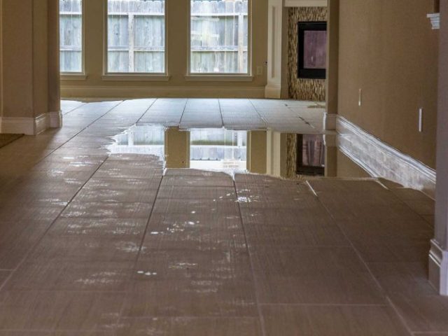 6206a6c8a51c976de594610a_water-damage-inside-tampa-home-plyu4v4ctlz0kmjiu9x6z5czhd7nj24px140b20qdk 6206a6c8a51c976de594610a_water-damage-inside-tampa-home-plyu4v4ctlz0kmjiu9x6z5czhd7nj24px140b20qdk