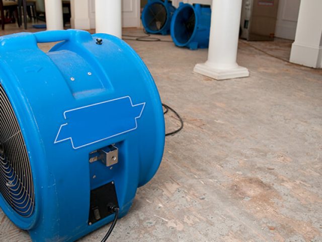 8-Reasons-Why-you-Should-Hire-Professional-Water-Damage-Restoration-Services-Tycoonstory 8-Reasons-Why-you-Should-Hire-Professional-Water-Damage-Restoration-Services-Tycoonstory